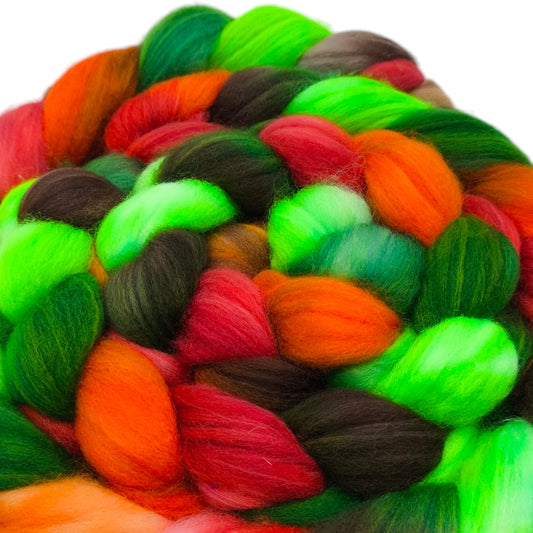 Kammzug Merino Nylon superwash 100g Herbstzeit